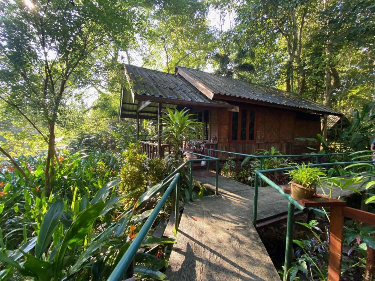 Khao Sok Riverside Cottages Khao Sok National Park Ngoại thất bức ảnh