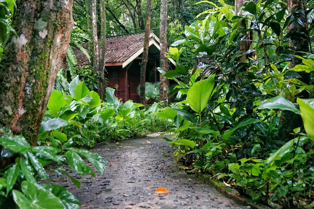 Khao Sok Riverside Cottages Khao Sok National Park Ngoại thất bức ảnh