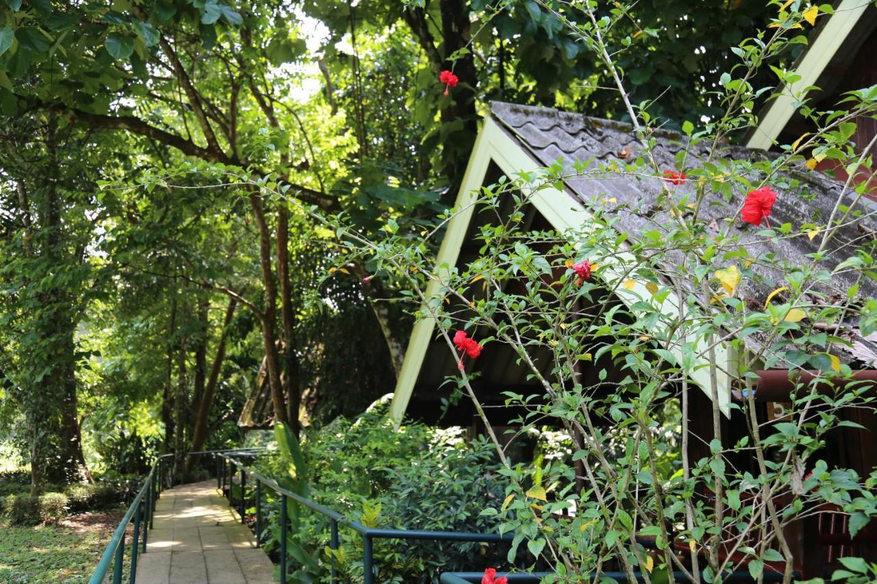 Khao Sok Riverside Cottages Khao Sok National Park Ngoại thất bức ảnh